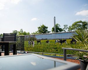 Terras met uitzicht op weiland in Vakantiehuis in Hoornsterzwaag, Friese bossen.