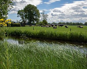 Natuurrijke omgeving met water bij Vakantiehuis in Hoornsterzwaag, Friese bossen.