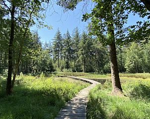 Verblijf 232002 - Vakantiewoning Friese bossen - Vakantiehuis in Oranjewoud