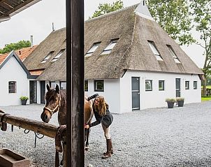 Unterkunft 232402 - Ferienhaus Friese bossen - Vakantiehuisje in Langedijke