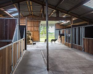 Unterkunft 232402 - Ferienhaus Friese bossen - Vakantiehuisje in Langedijke