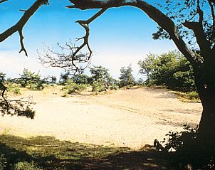 Unterkunft 232402 - Ferienhaus Friese bossen - Vakantiehuisje in Langedijke