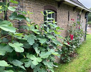 Verblijf 232610 - Vakantiewoning Friese bossen - Huisje in Wijnjewoude