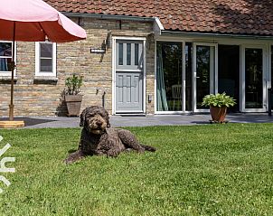 Verblijf 232612 - Vakantiewoning Friese bossen - FR260