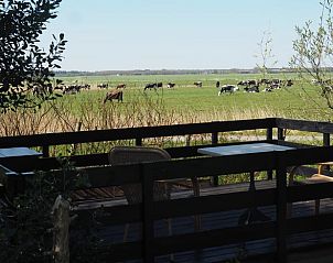 Verblijf 232806 - Vakantiewoning Friese bossen - Huisje in Oudehorne