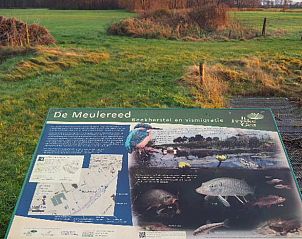 Verblijf 232806 - Vakantiewoning Friese bossen - Huisje in Oudehorne