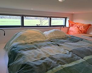 Verblijf 233102 - Vakantiewoning Friese bossen - Vakantiehuisje in Lippenhuizen