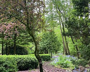 Prachtige tuin rondom Vakantiehuisje in Ravenswoud, gelegen in Friese bossen.