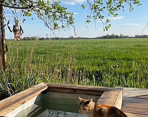 Buitenterras met uitzicht op weiland bij Vakantiehuisje in Ravenswoud, Friesland.