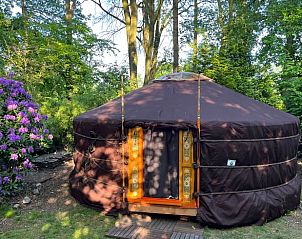 Verblijf 233216 - Vakantiewoning Friese bossen - Vakantiehuisje in Ravenswoud