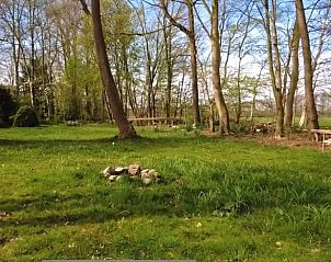 Verblijf 233216 - Vakantiewoning Friese bossen - Vakantiehuisje in Ravenswoud