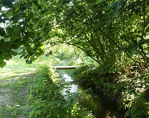 Verblijf 233224 - Vakantiewoning Friese bossen - Huisje in Ravenswoud