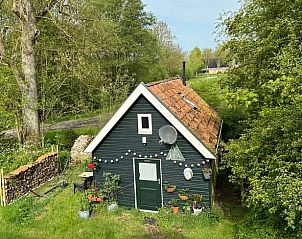 Guest house 233302 • Chalet Friese bossen • Huisje in Beetsterzwaag 