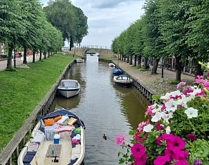 Guest house 233601 - Holiday property Friese bossen - Vakantiehuis in Nijemirdum