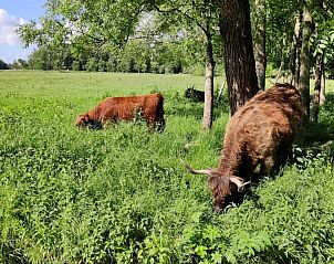 Verblijf 240120 - Appartement Friese elfsteden - Appartement Appartement in Leeuwarden mit Privater Terrasse