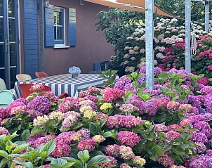 Unterkunft 240422 - Ferienhaus Friese elfsteden - Vakantiehuis Stavoren