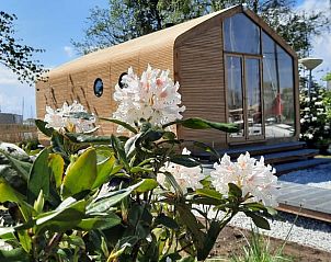 Bloeiende tuin rondom Huisje in Stavoren, vakantiehuis in Friesland, met prachtig uitzicht.