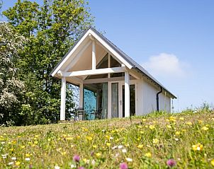 Vakantiehuis in Dokkum omgeven door bloemen en natuur.