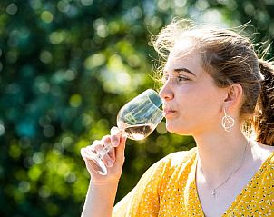 Genieten van een glas wijn in de tuin van Vakantiehuis in Dokkum.