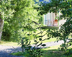 Groene omgeving rondom Vakantiehuis in Dokkum, Friesland.
