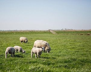 Verblijf 242501 - Appartement Heegermeer - Boerderij Appartementen Ûnder de Wol - Súdwest Fryslân