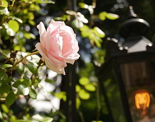 Verblijf 245307 - Vakantie appartement Veluwe - Hotel Pegasus