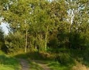 Verblijf 260132 - Appartement Het Friese platteland - Jorito