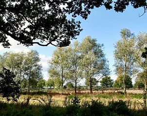 Unterkunft 260204 - Ferienhaus Het Friese platteland - Vakantiehuisje in Donkerbroek