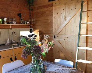 Unterkunft 260206 - Ferienhaus Het Friese platteland - Vakantiehuis in Donkerbroek