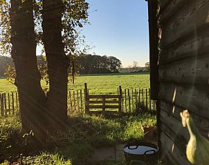 Unterkunft 260206 - Ferienhaus Het Friese platteland - Vakantiehuis in Donkerbroek