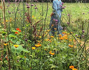 Unterkunft 260206 - Ferienhaus Het Friese platteland - Vakantiehuis in Donkerbroek