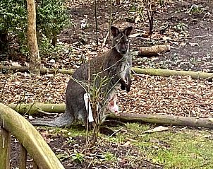 Unterkunft 260208 - Ferienhaus Het Friese platteland - Vakantiehuis in Makkinga