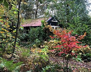 Unterkunft 260208 - Ferienhaus Het Friese platteland - Vakantiehuis in Makkinga