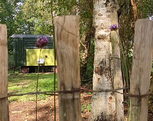 Unterkunft 260219 - Ferienhaus Het Friese platteland - Huisje in Donkerbroek
