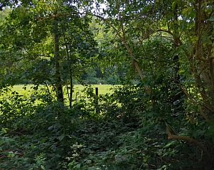 Unterkunft 260219 - Ferienhaus Het Friese platteland - Huisje in Donkerbroek