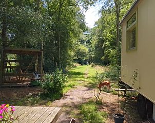 Unterkunft 260219 - Ferienhaus Het Friese platteland - Huisje in Donkerbroek