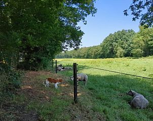 Unterkunft 260219 - Ferienhaus Het Friese platteland - Huisje in Donkerbroek