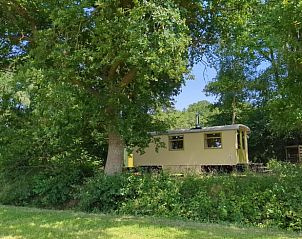 Unterkunft 260219 - Ferienhaus Het Friese platteland - Huisje in Donkerbroek