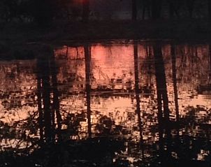 Unterkunft 260220 - Ferienhaus Het Friese platteland - Vakantiehuis in Donkerbroek