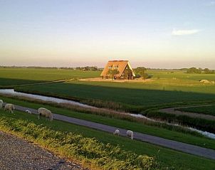 Unterkunft 260225 - Ferienhaus Het Friese platteland - Huisje in Wierum
