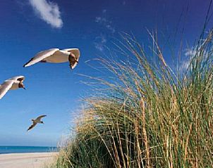Unterkunft 260225 - Ferienhaus Het Friese platteland - Huisje in Wierum