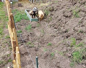 Unterkunft 260227 - Ferienhaus Het Friese platteland - Vakantiehuisje in Donkerbroek