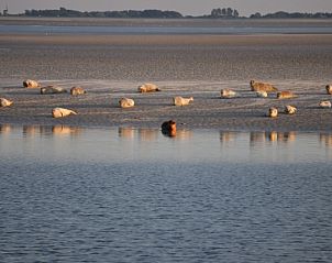 Unterkunft 260231 - Ferienhaus Het Friese platteland - FR438
