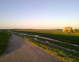 Unterkunft 260231 - Ferienhaus Het Friese platteland - FR438