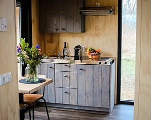 Compacte keuken in vakantiehuisje in Westergeest met moderne voorzieningen en uitzicht.