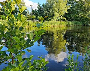 Weelderige groene omgeving bij vakantiehuisje in Westergeest, Friesland, met helder water.