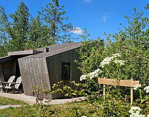 Houten vakantieaccommodatie in Westergeest, Friesland, met comfortabele stoelen op het terras.