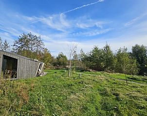 Groene omgeving rond Vakantiehuisje in Westergeest, perfect voor natuurliefhebbers.