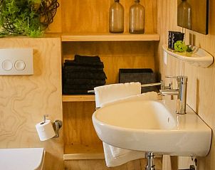 Moderne badkamer in Vakantiehuisje in Westergeest, Friesland, met natuurlijke houten afwerking.