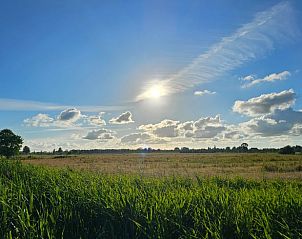 Uitgestrekt landschap in Friesland, nabij Vakantiehuisje in Westergeest, ideaal voor wandelingen.